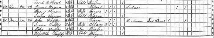 1865 NY State Census Hogan Family