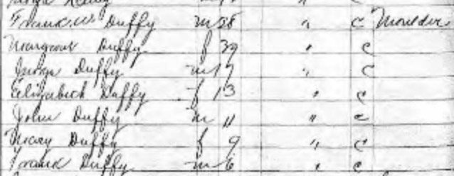 John Duffy 1892 NY Census Lockport